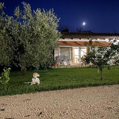 Villetta Bianca Pisticci-Matera Dış mekan fotoğraf