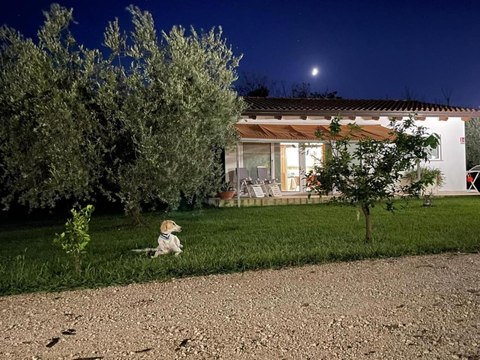 Villetta Bianca Pisticci-Matera Dış mekan fotoğraf